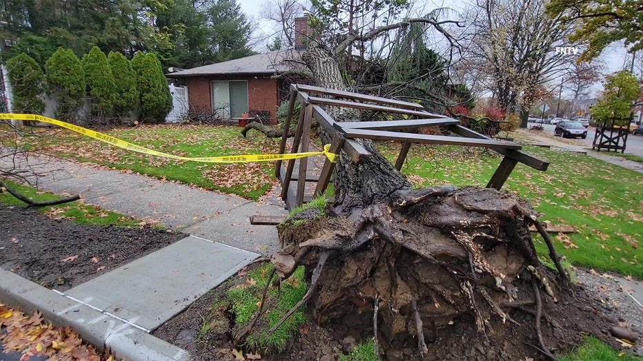 An uprooted tree lies across a sidewalk, on a lawn and on a house in Queens