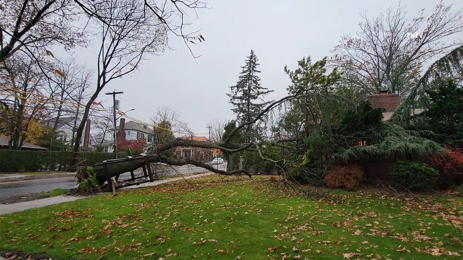 An uprooted tree lies across a sidewalk and on a lawn in Queens
