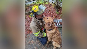 Oregon firefighters rescue dog that fell into well