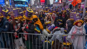 Times Square crowds celebrate New Year's Eve