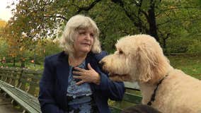 Meet the woman who communicates with dogs... dead or alive