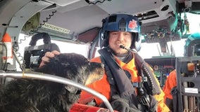 Man, 2 dogs rescued by U.S. Coast Guard as disabled sailboat wrecks against rocks