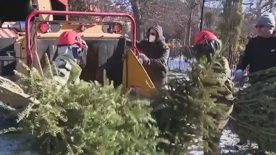 NYC Mulchfest 2022 is underway