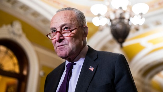 Schumer hospitalized for dehydration: Reports