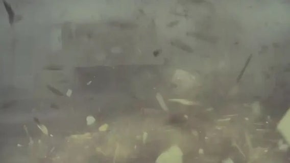 Inside the New Orleans tornado: Dashcam video shows moments car is overtaken by storm