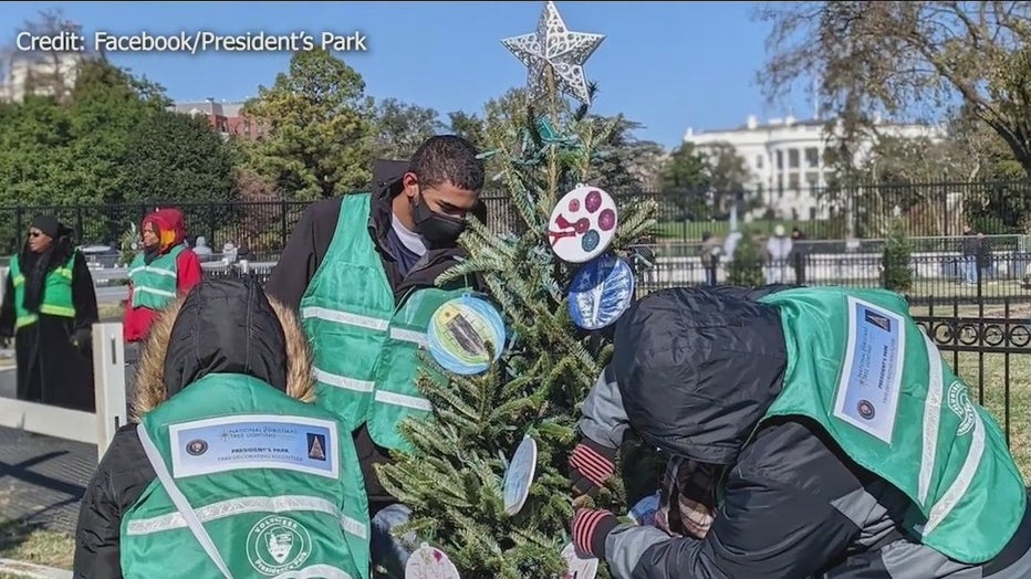 Christmas trees at the White House
