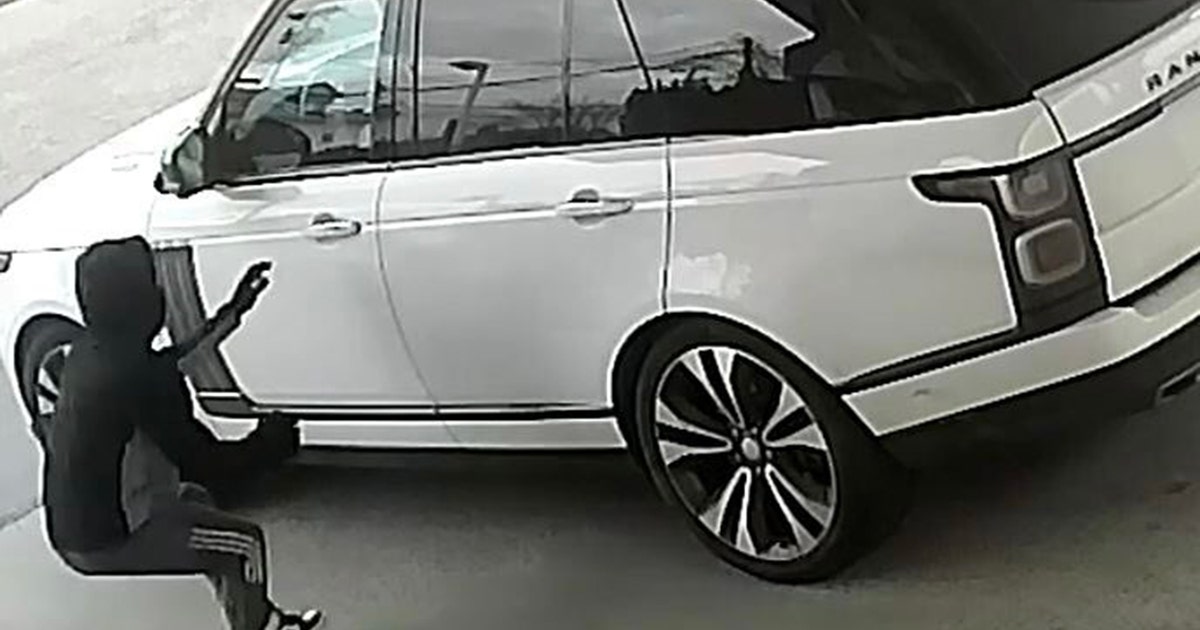 Woman has Range Rover stolen at Long Island gas station with dog inside ...
