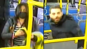 Couple accused of having sex on NYC bus
