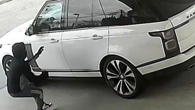 Woman has Range Rover stolen at Long Island gas station with dog inside