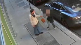 Elderly woman attacked and robbed in NYC