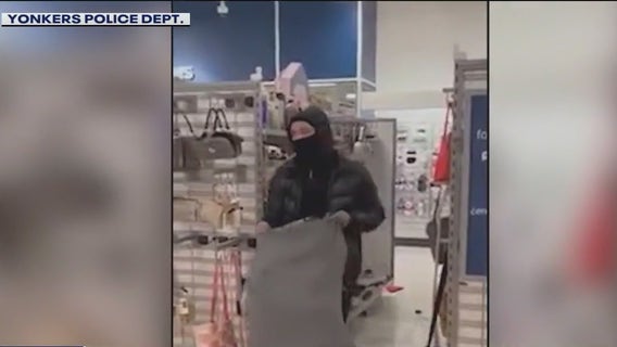 Yonkers PD nabs suspect in brazen repeat shoplifting incidents