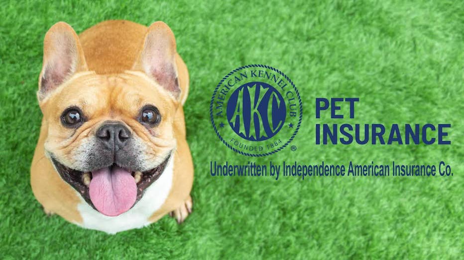 The American Kennel Club offers pet insurance.