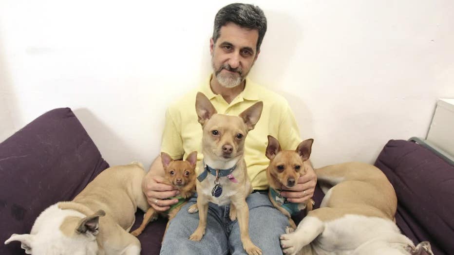 Bill Berloni is sometimes called the Dr. Doolittle of animals of the stage and screen.