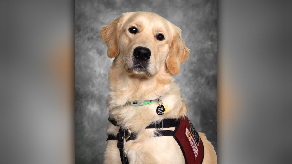K-9 Detective Gibbs poses for a school yearbook photo