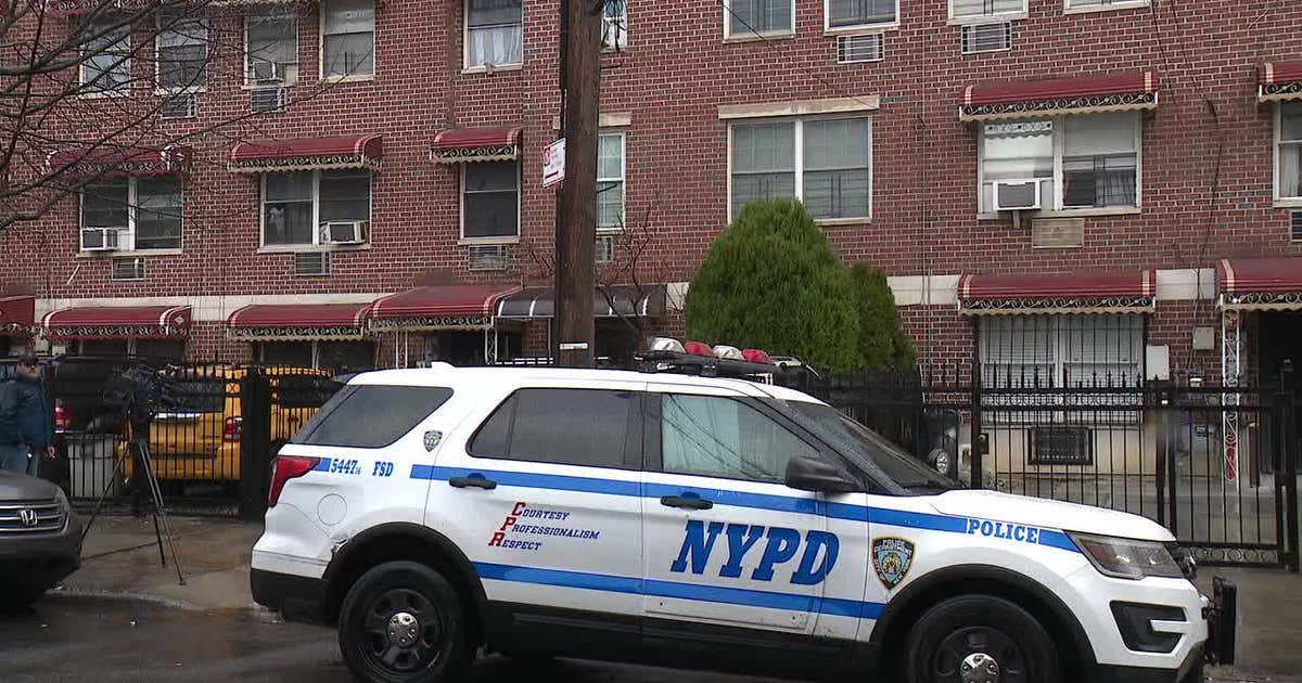 Grandmother accused of stabbing 7-year-old girl repeatedly in Bronx ...
