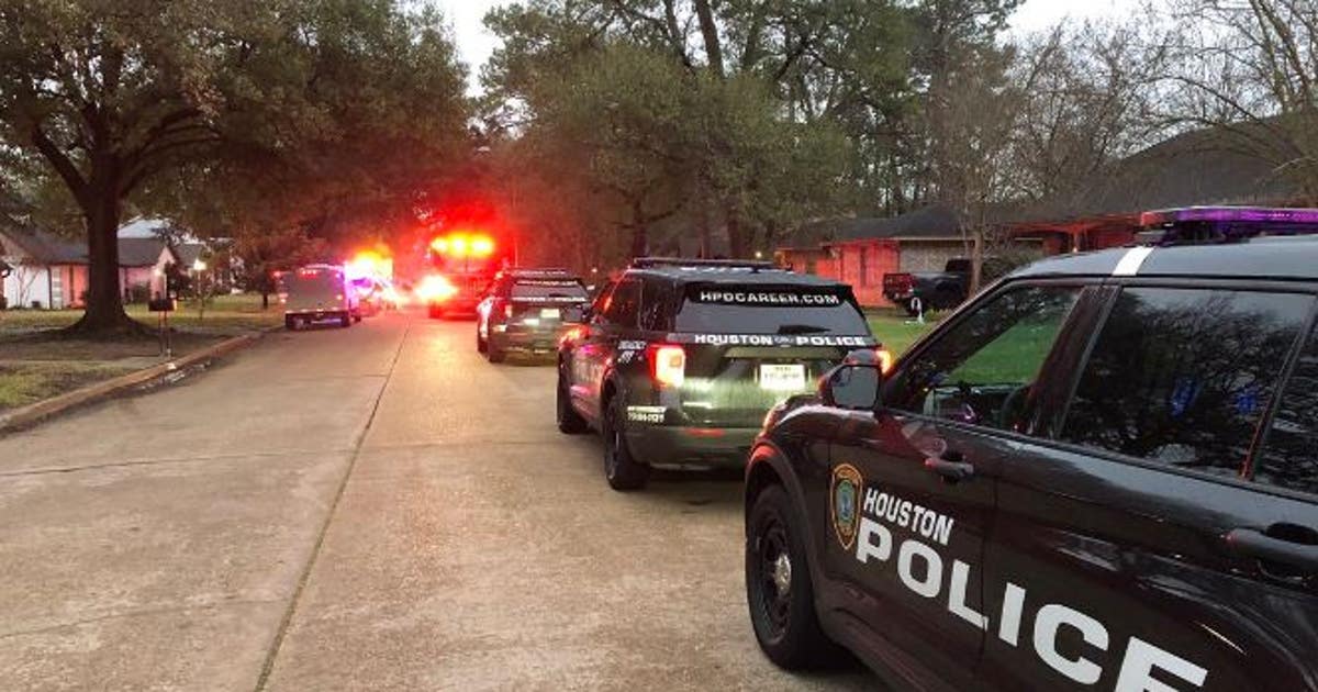30-year-old man fatally attacked by dogs while protecting his own ...