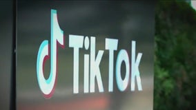 TikTok admits employees bypass algorithm to promote some videos