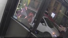 Woman arrested after pride flag set on fire outside SoHo restaurant