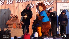 Death of beloved groundhog casts a shadow on Groundhog Day in Canada