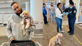 TSA says travelers should never put pets through X-ray unit