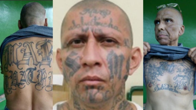 3 arrested alleged MS-13 leaders accused of directing murders; others sought