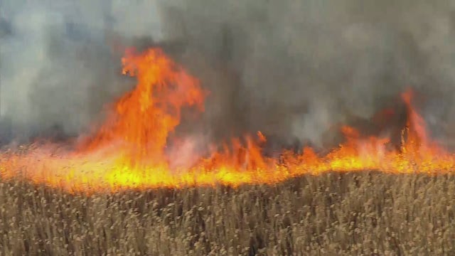 Brush fire burns in Marine Park area of Brooklyn
