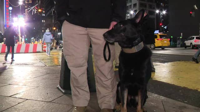 Manhattan stores are turning to K-9s to fight shoplifting
