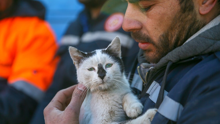 "Enkaz" ("Rubble"), the cat rescued from rubble by the members of Mardin Fire Department becomes the source of joy as the search and rescue efforts continue. (Photo by Halil Fidan/Anadolu Agency via Getty Images)