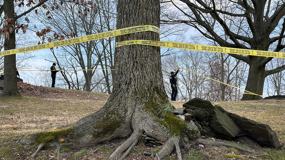 Mother Arrested In Death Of Son, 2, Found Buried In Connecticut Park ...