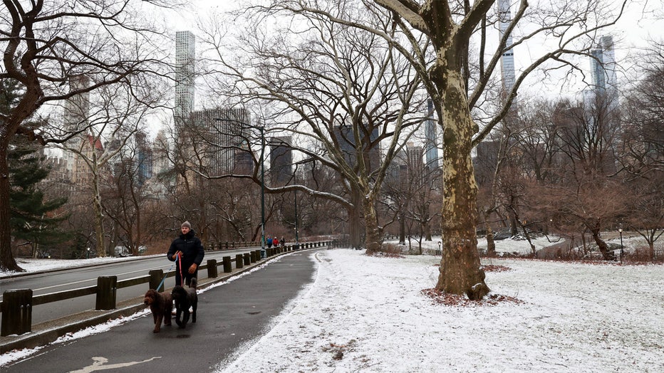 Grassy areas are partially covered with snow powder on Feb. 1, 2023, in Central Park. New York City went nearly a year with no measurable snowfall. (Luiz C. Ribeiro/for New York Daily News)