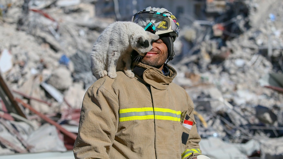 33-year-old Ali Cakas takes care of "Enkaz" ("Rubble"), the cat rescued from rubble by the members of Mardin Fire Department. (Photo by Halil Fidan/Anadolu Agency via Getty Images)