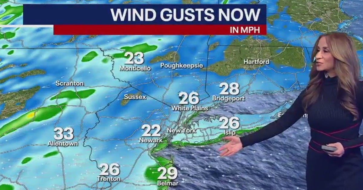 Winter storm to hit NYC with heavy rain, gusty winds | FOX 5 New York
