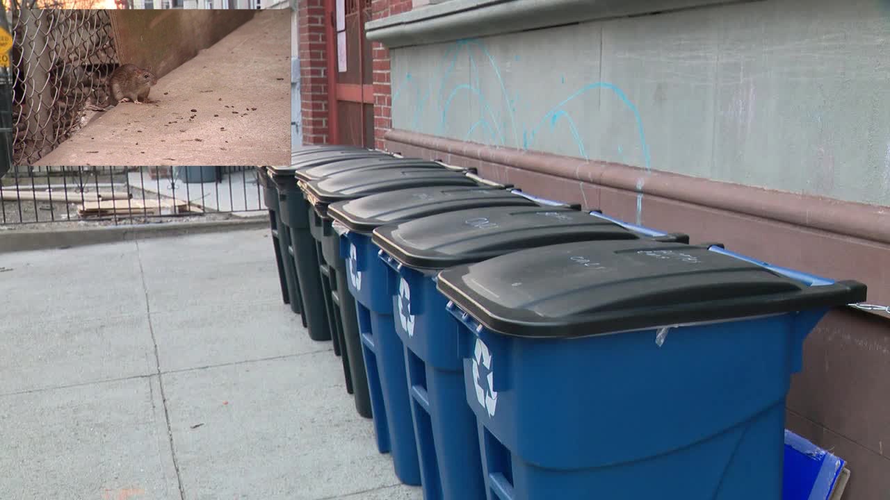 To fight rats and trash, NYC trades parking spots for giant trash bins in  Harlem - Gothamist