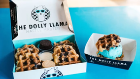 The Dolly Llama Waffle Master opens in the East Village
