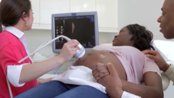 The Fertility Factor: A journey to motherhood after struggling with infertility for more than a decade