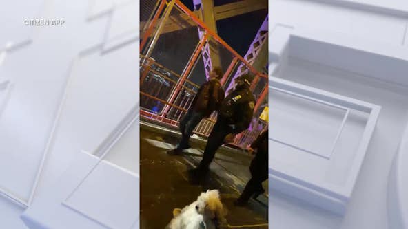 5 teens arrested for climbing Brooklyn tower of Williamsburg Bridge