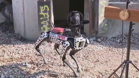Robotic dogs, drones put into action in Lower Manhattan parking garage collapse