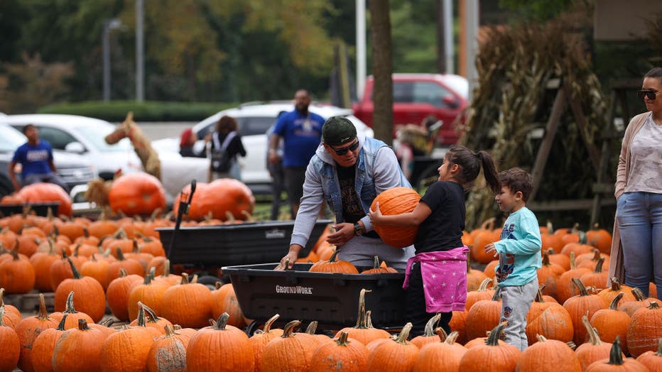 Pumpkin patch attracts fall revelers