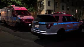 3-month-old girl found dead in woods near Bronx homeless shelter