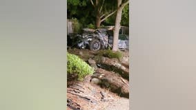 Sonoma County sheriff's wife arrested on DUI charge