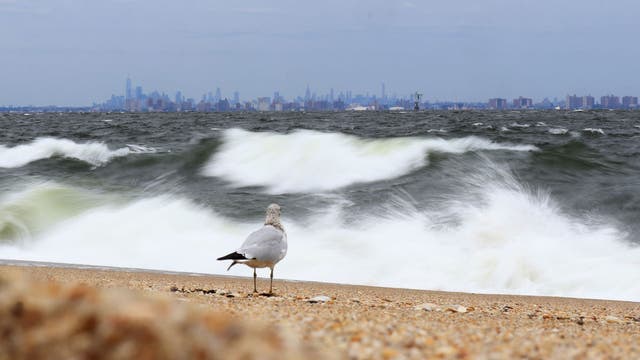 15-year-old boy drowns, 5 others rescued from ocean in NJ