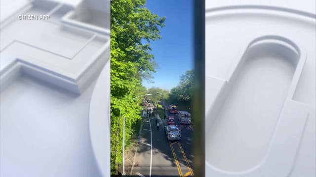 3 killed after car strikes tree, bursts into flames in Brooklyn