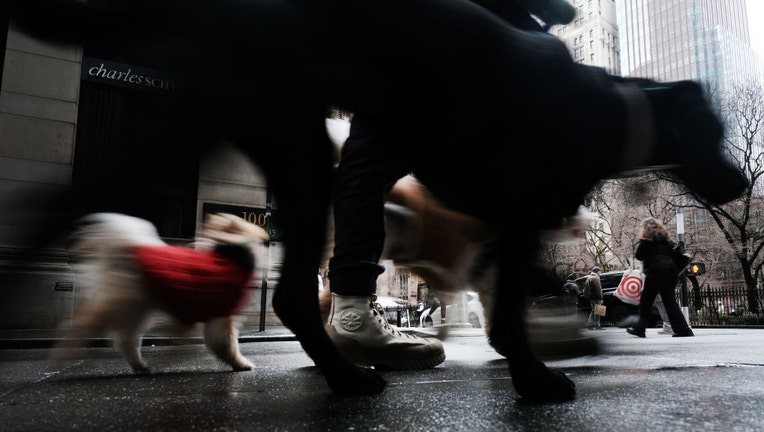 FILE - Dogs are walked through lower Manhattan in light snow on March 14, 2023, in New York City. (Photo by Spencer Platt/Getty Images)