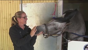 Jena Antonucci aiming to make Belmont Stakes history