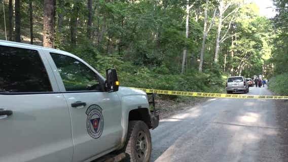 Plane that flew over DC crashed almost straight down at high speed, report says