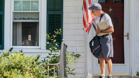 New York ranked third in dog attacks on mail carriers, USPS says