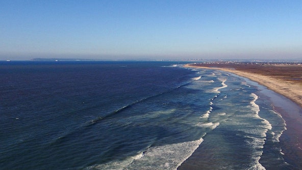 El Nino blamed for recent bird deaths along Mexico's Pacific coast