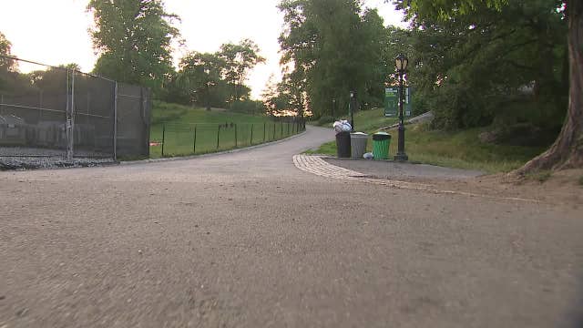 Pit bull stabbed to death in Central Park after dispute between dog walkers