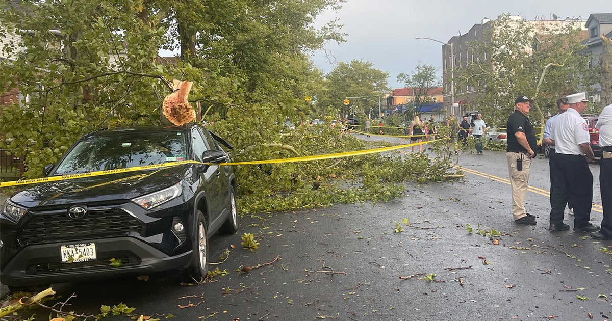 NYC weather: Severe storms tear down trees across Tri-State | FOX 5 New ...