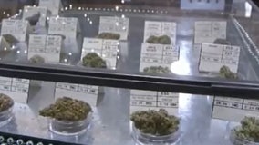 Housing Works cannabis dispensary thriving 6 months later